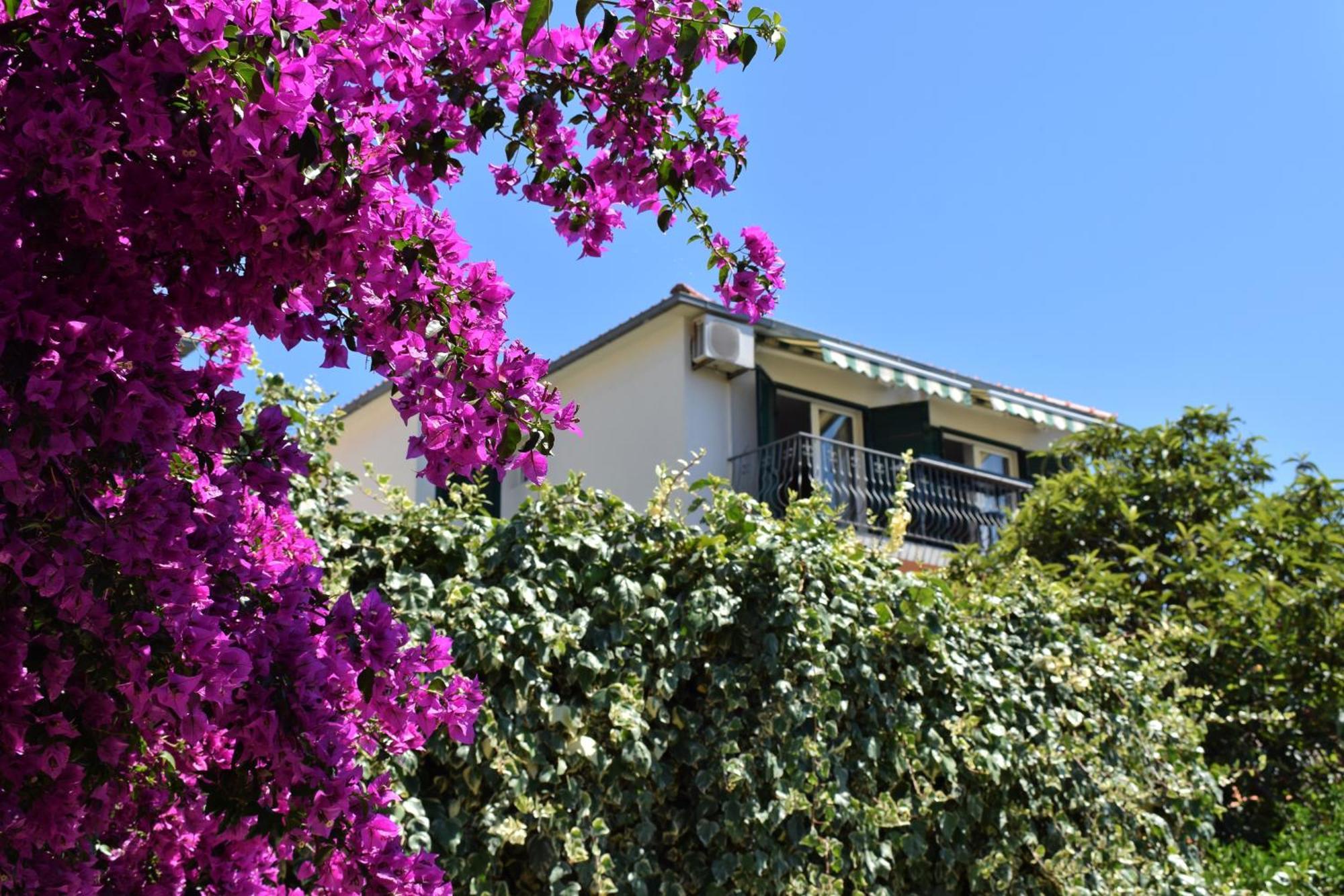 Lina Vrankovic Apartments Hvar Town Eksteriør billede