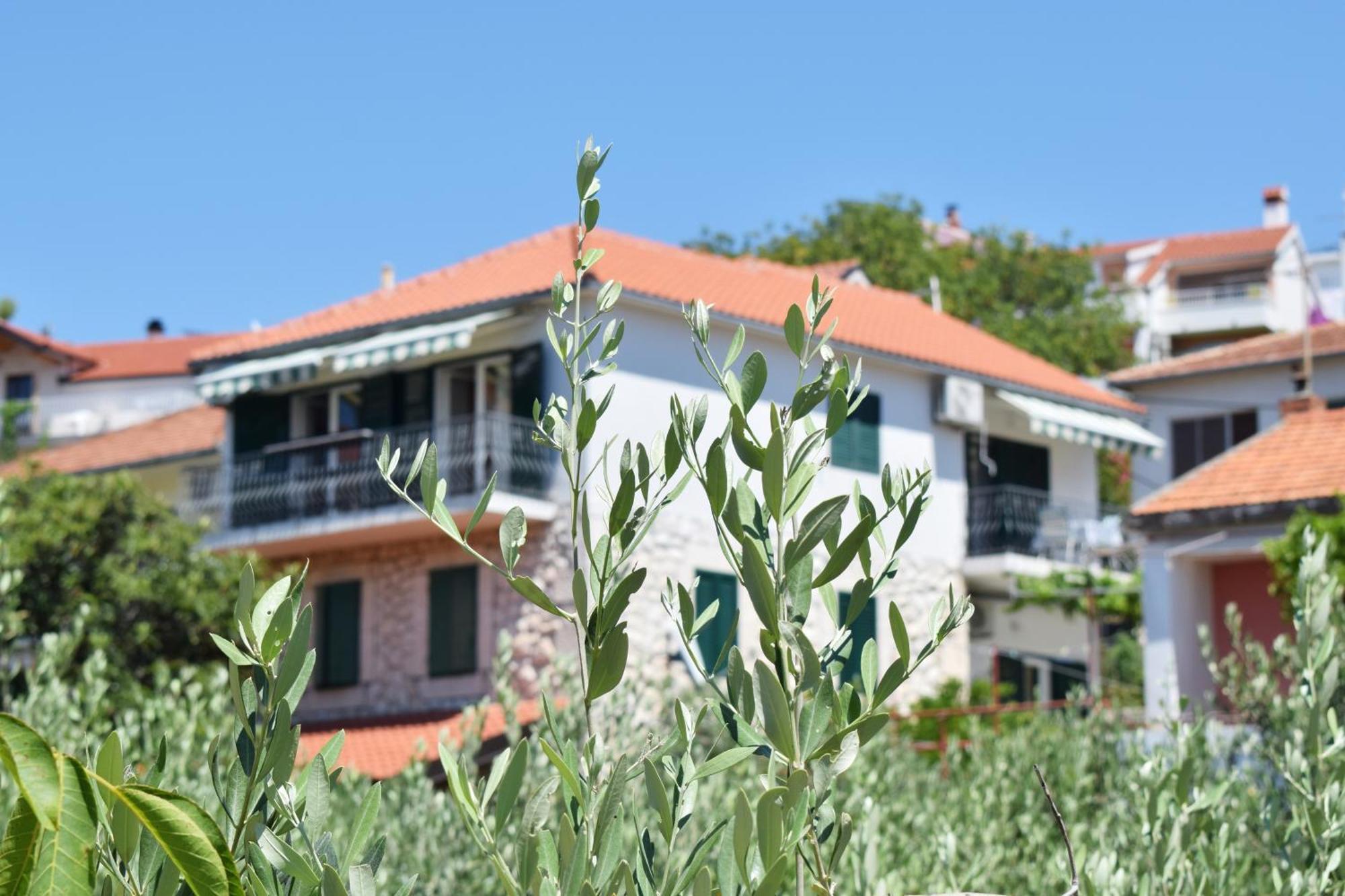 Lina Vrankovic Apartments Hvar Town Eksteriør billede